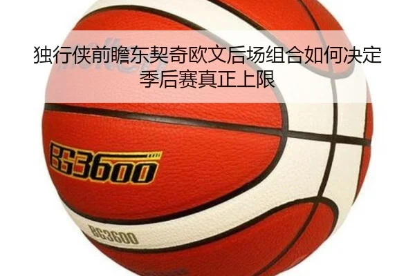 独行侠前瞻东契奇欧文后场组合如何决定季后赛真正上限