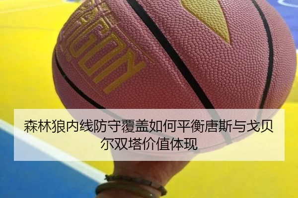 森林狼内线防守覆盖如何平衡唐斯与戈贝尔双塔价值体现